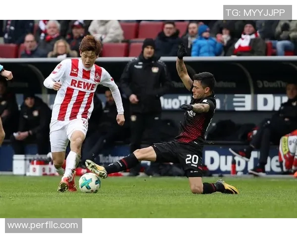 斯图加特主场胜科隆勇夺保级关键胜利 斯图加特主场胜科隆勇夺保级关键胜利