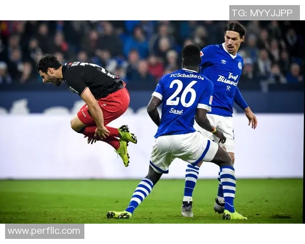 沙尔克04客场硬战战平勒沃库森稳居联赛中游 沙尔克04客场硬战战平勒沃库森稳居联赛中游